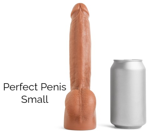 Perfect Penis Small Hankeys Toys Dildo